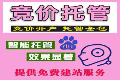 竞价托管SEM的创意与实践：多行业案例集